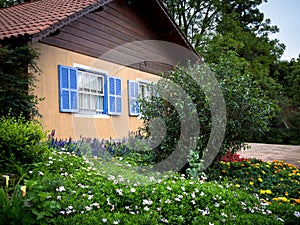 House in garden