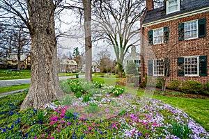 House and garden in Guilford, Baltimore, Maryland photo