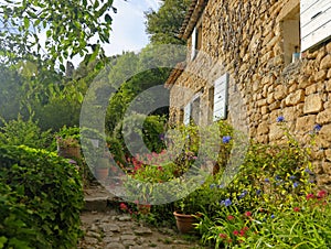 House and garden in Provence