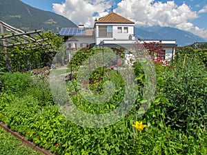 Casa giardino un soleggiato pannelli sul tetto 