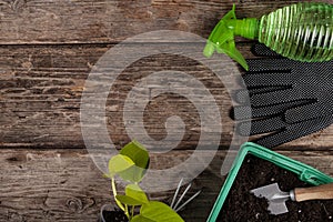 House gardening equipment, top view