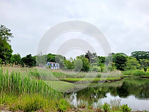 House among generic vegetation