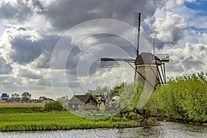 House and the Giant of Netherlands