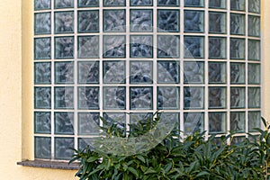 house with glass blocks and a hedge in the foreground