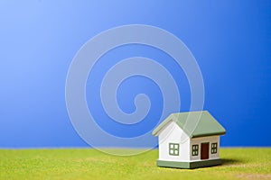 House on a grass. Conceptual image