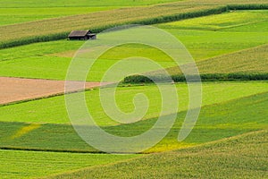  house, grass, meadows, green, lines