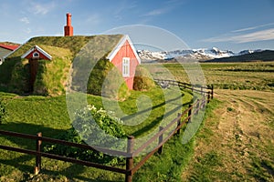 House with grass roof