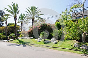 House with green lawn manicured frontyard garden in suburban residential neighborhood