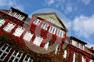 House in Hanover photo