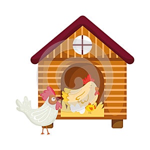 House hen rooster chicken and eggs farm animal cartoon