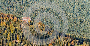 House on a hill in fall colored forest, Vosges, Alsace, France