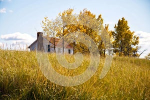 House on hill with tall golden grass and trees in the Fall.