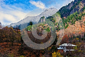 House on hillside surrounded by autumn trees, place of solitude