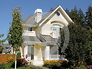 House Home Designer Yellow Exterior Elevation Rockwork Roof Details