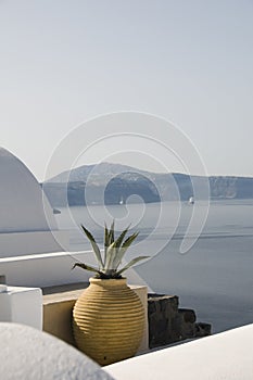 House hotel with plant over sea santorini