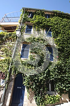 house of Hyeres covered by plants photo