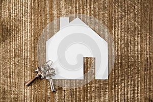 House icon and keys, real estate concept
