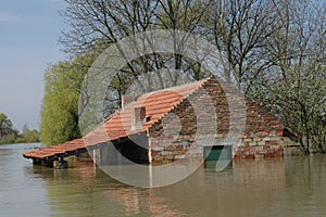 House immersed in the flood
