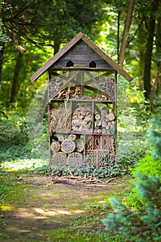 House for insects in the dendrological park of Bazosu Nou
