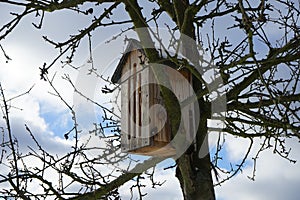 House for insects on a tree. Marzahn-Hellersdorf, Berlin, Germany