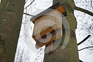 House for insects on a tree in snowy winter. Marzahn-Hellersdorf, Berlin, Germany