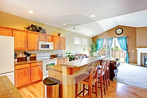 House interior. Kitchen room