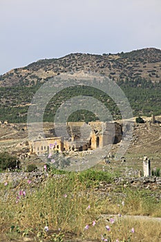 The House of the Ionics Capitals - Hierapolis