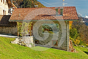 House in Irone, Trentino, Italy photo