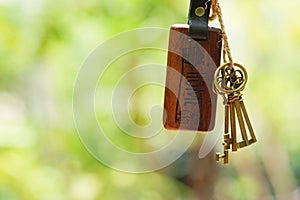 House key with home keyring in keyhole with smooth blur green garden background, property concept