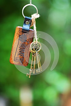 House key with home keyring with smooth blur green garden background, property concept