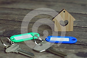 House keys with color tag keyring with green garden background, property concept, copy space