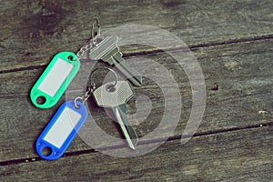 House keys with color tag keyring with green garden background, property concept, copy space