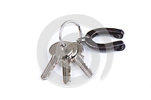 House keys with horseshoe on keyring