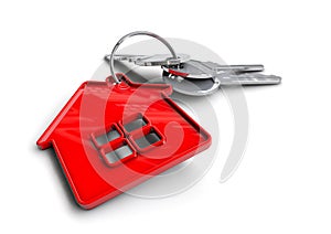 House keys with house icon keyring. Concept for property ownership.