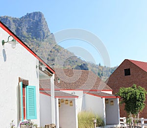 House with large garage door