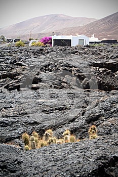 House in lava