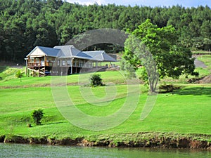 House with lawn on lake shore