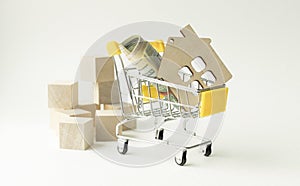 House lies in the shopping cart. A pack of hundred-dollar bills