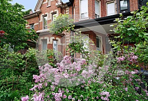 House with lilac bush in front yard