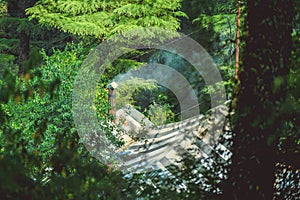 A house made of chimney smoke on a background of a green forest