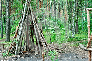 House made of old dry trees in a forest clearing.