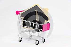 House model with car key in shopping cart.