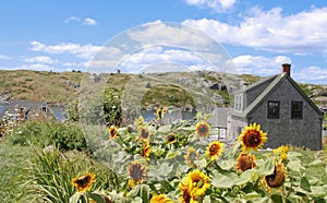 House on Monhegan Island