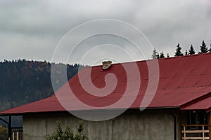 House with new brown metal tile roof and rain gutter. Metallic Guttering System, Guttering and Drainage Pipe Exterior