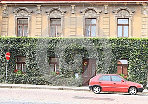 House overgrown by ivy