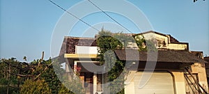 A house that is overgrown with vines and has been abandoned by its occupants