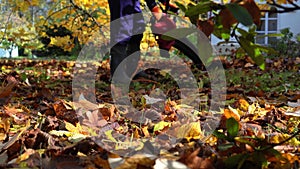 House owner blowing leaves in yard with leaf blower gardening equipment.