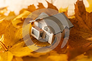 House from paper in bright yellow autumn leaves. Model of cardboard house. Concept image house. Concept of sale or