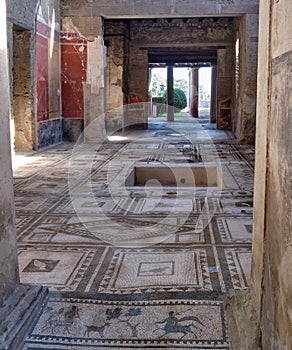 House of Paquius Proculus mosaic floor