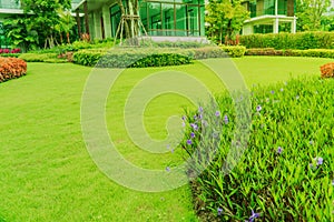 House in the park, Green lawn, Flowers in the garden, Green grass, Modern house with beautiful landscaped front yard.